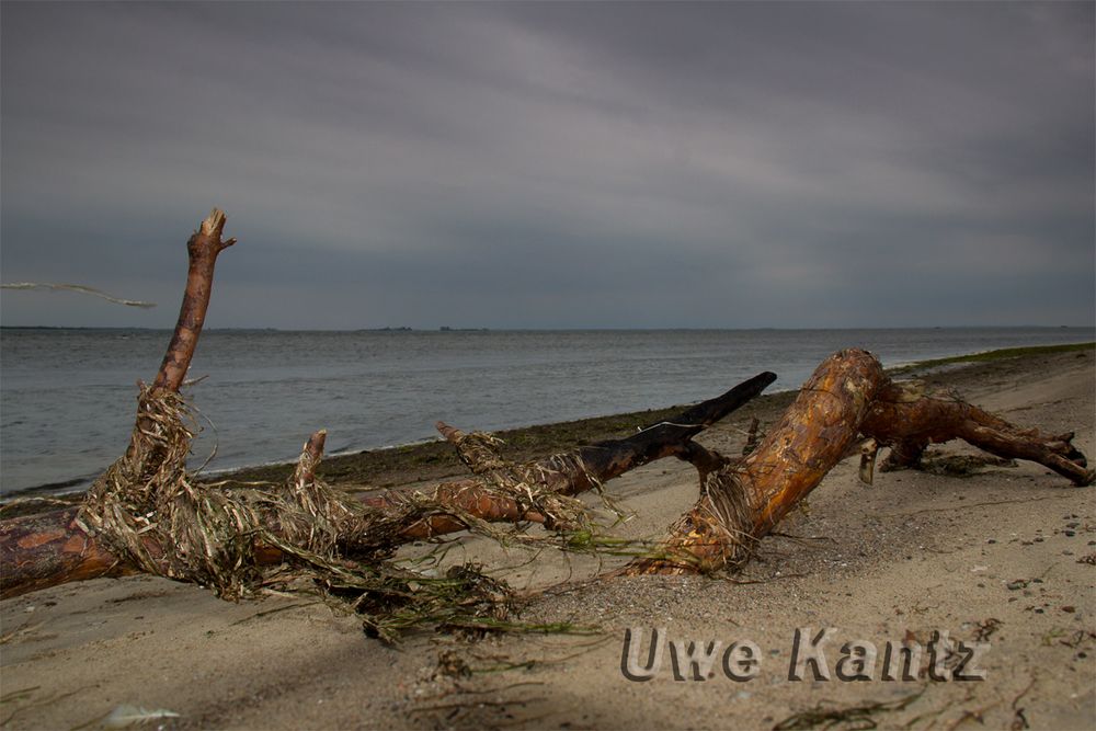 Herbst am Strand