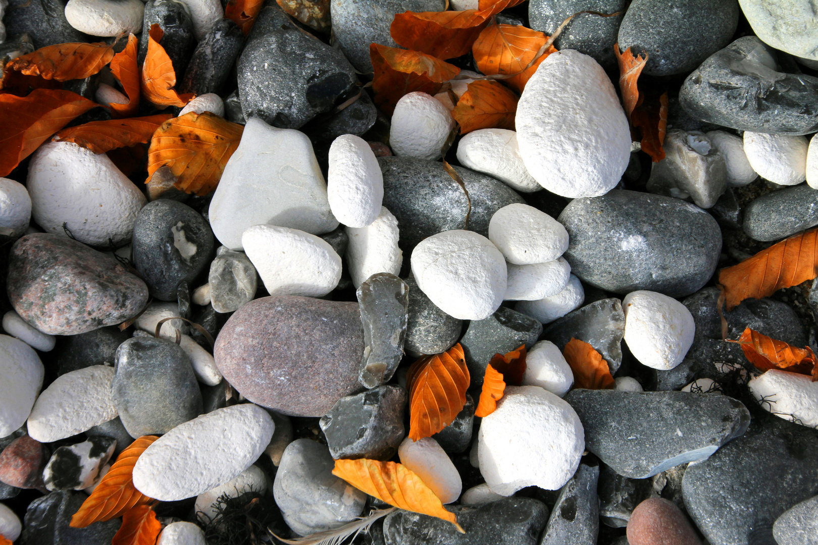 Herbst am Strand