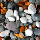 Herbst am Strand