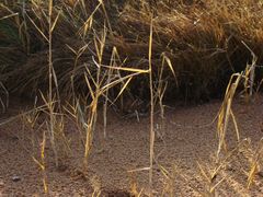 Herbst am Strand