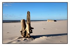 Herbst am Strand