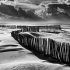 Herbst am Strand