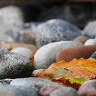 Herbst am Strand (III)