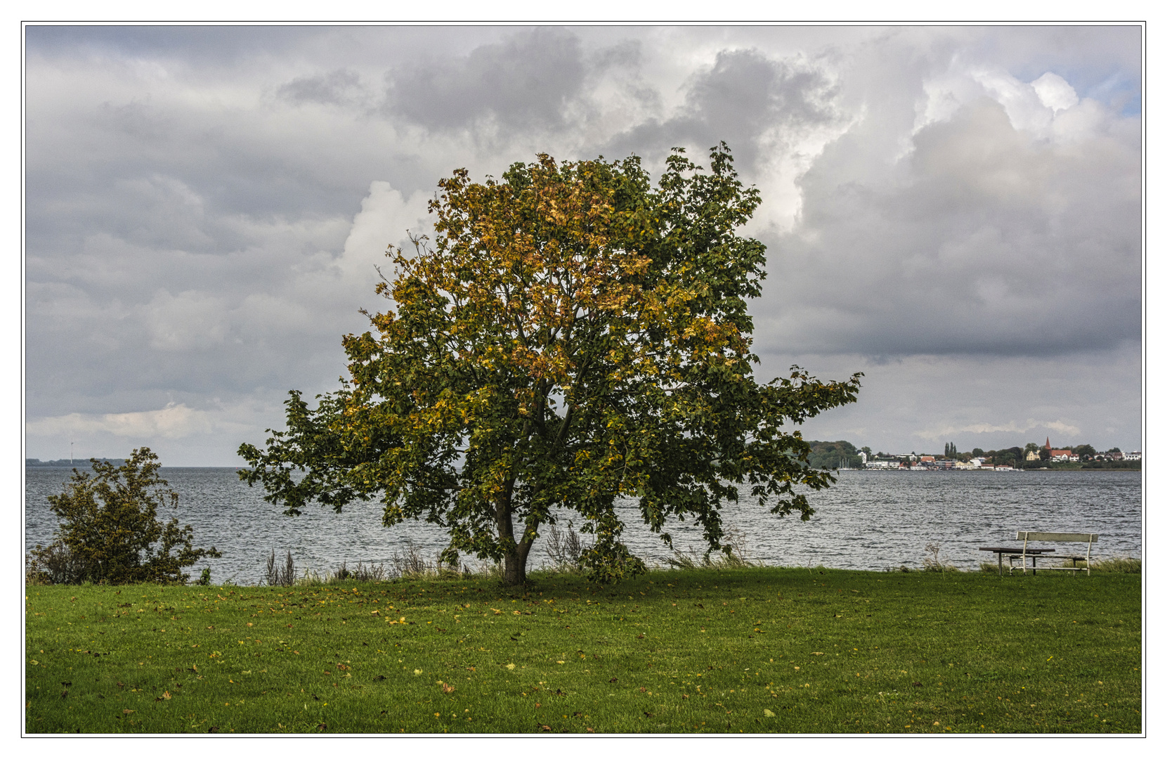 Herbst am Strelasund