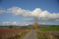 Herbst am Süntel