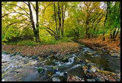 Herbst am Sulzbach