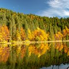 Herbst am Suttensee