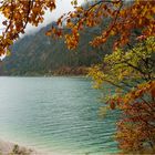 Herbst am Sylvensteinsee