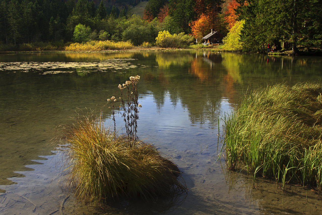 Herbst am Taferl Klaussee