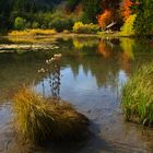 Herbst am Taferl Klaussee