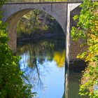 Herbst am Tarn 3