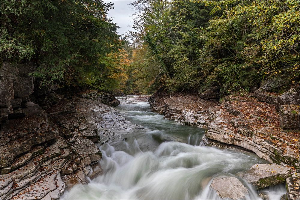 Herbst am Tauglbach