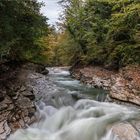 Herbst am Tauglbach