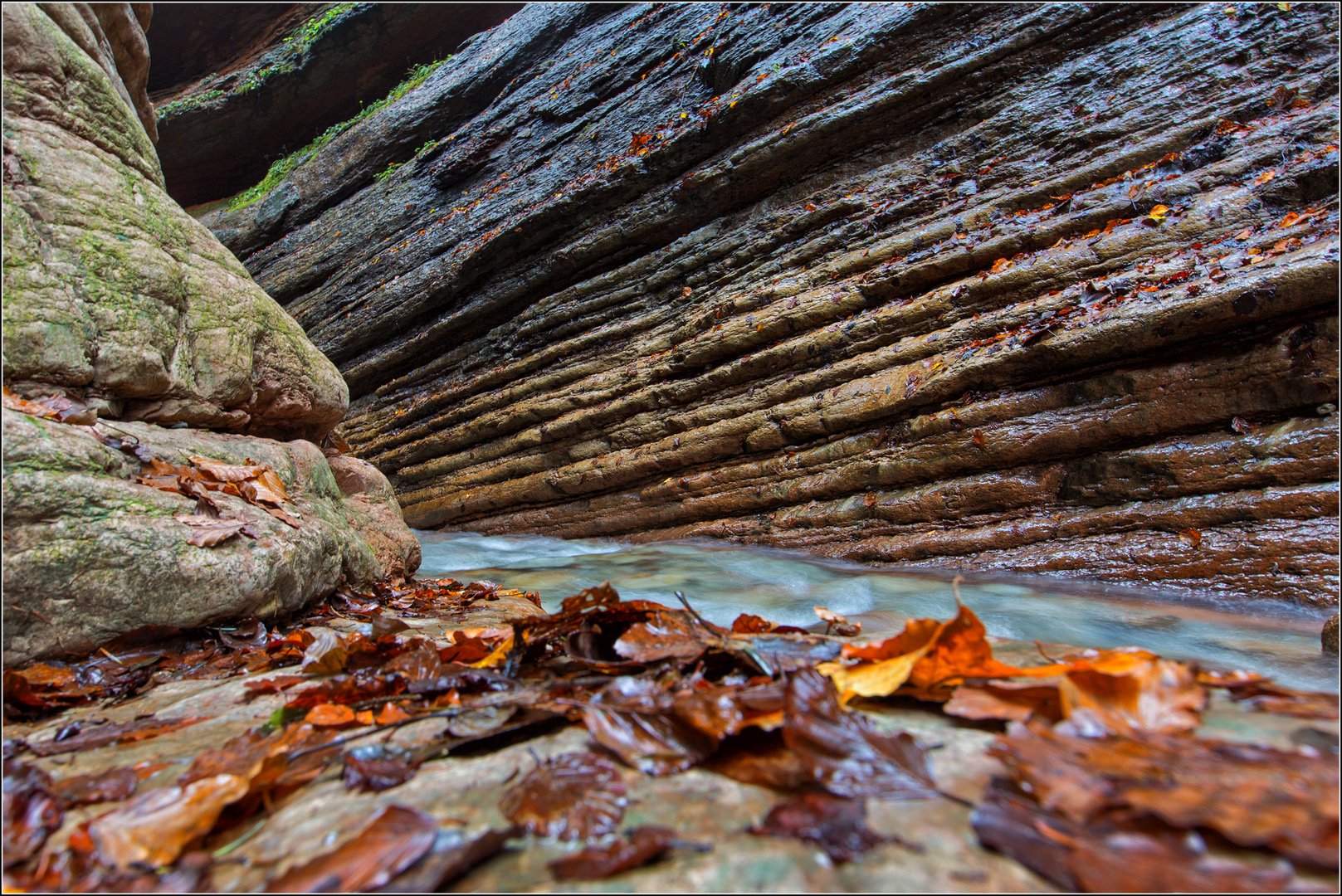 Herbst am Tauglbach