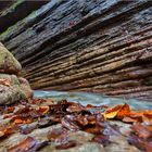 Herbst am Tauglbach