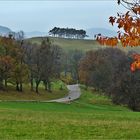 Herbst am Teckberg