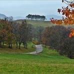 Herbst am Teckberg