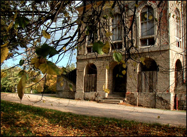 Herbst am Teehaus