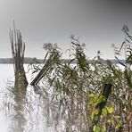 Herbst am Tegeler See....