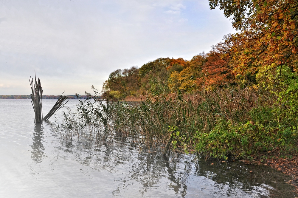 Herbst am Tegeler See.......