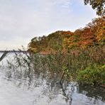 Herbst am Tegeler See.......