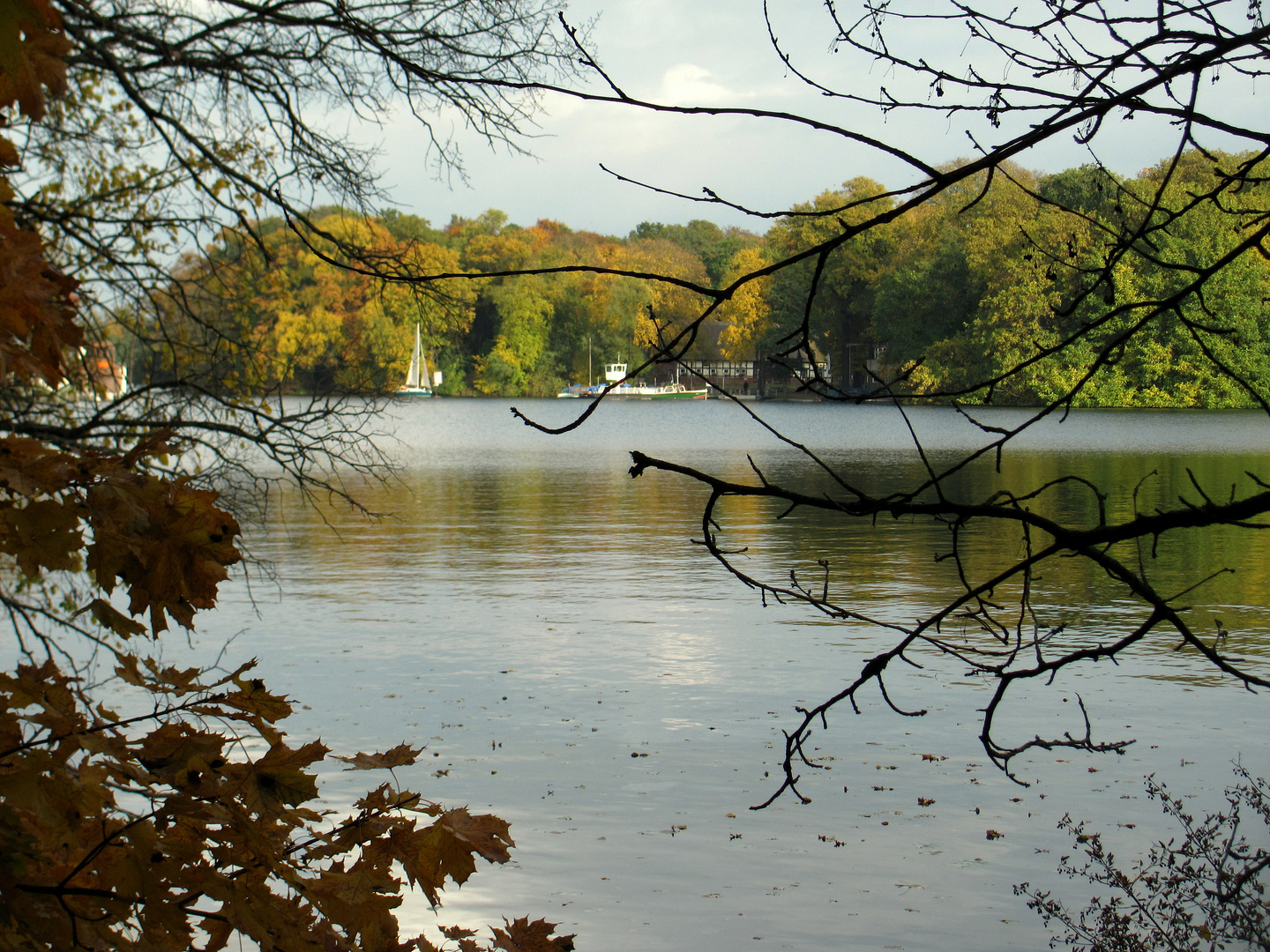 Herbst am Tegeler See