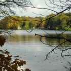 Herbst am Tegeler See