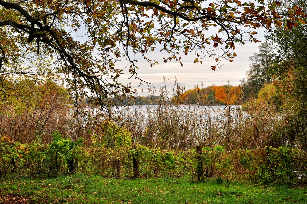 Herbst am Tegeler See.....