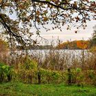 Herbst am Tegeler See.....