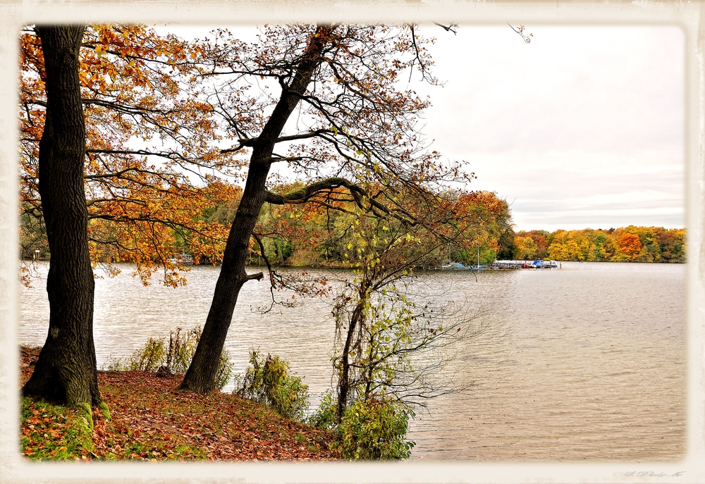 Herbst am Tegeler See.....