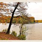 Herbst am Tegeler See.....