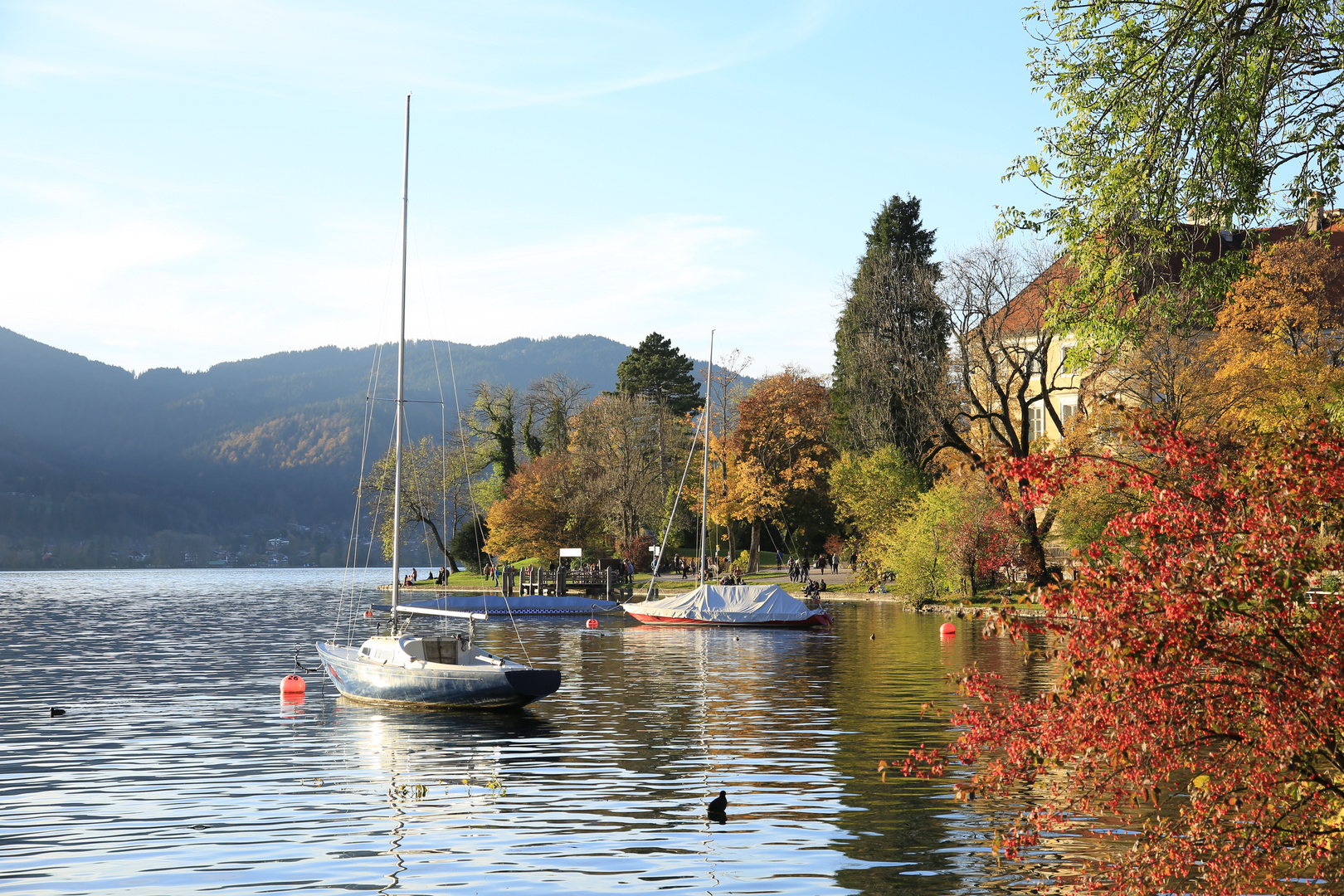 Herbst am Tegernsee - 01.11.2014