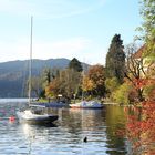 Herbst am Tegernsee - 01.11.2014