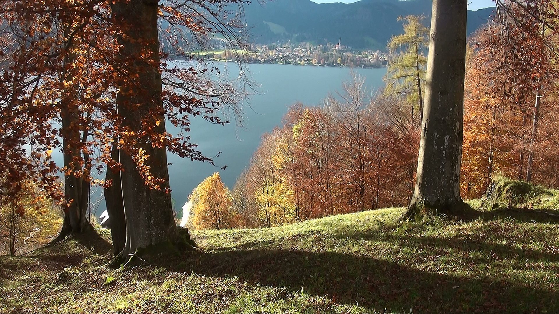 Herbst am Tegernsee