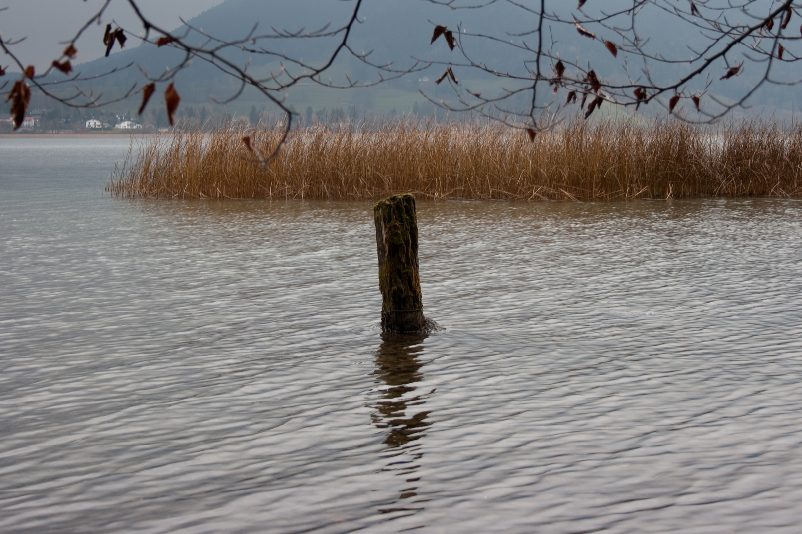 Herbst am Tegernsee II