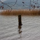 Herbst am Tegernsee II