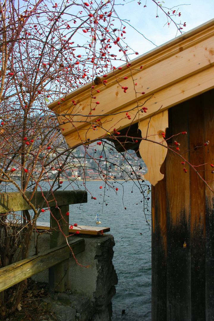 Herbst am Tegernsee III