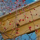 Herbst am Tegernsee IV