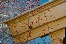 Herbst am Tegernsee IV von selenoglaska 