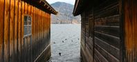 Herbst am Tegernsee V von selenoglaska 