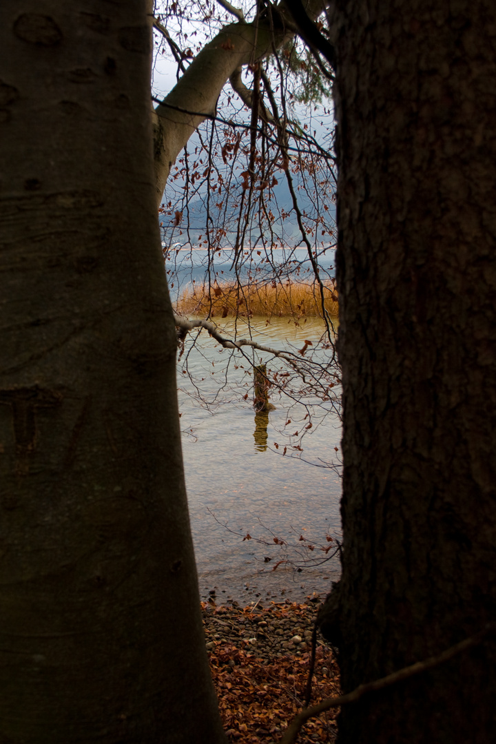 Herbst am Tegernsee VI