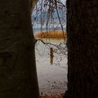 Herbst am Tegernsee VI