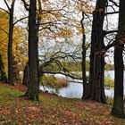 Herbst am Tegler See.......