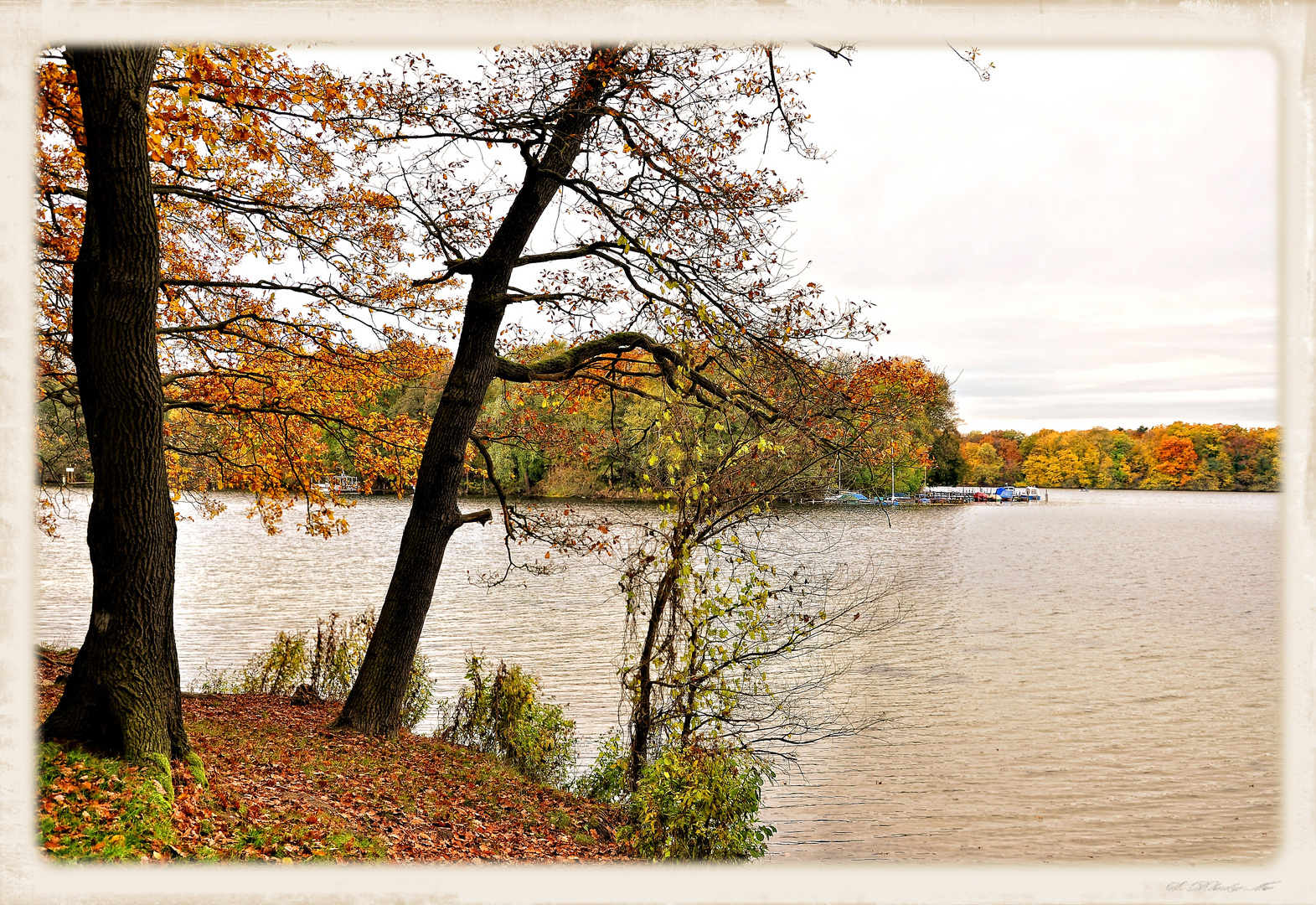Herbst am Tegler See......