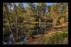 Herbst am Teich