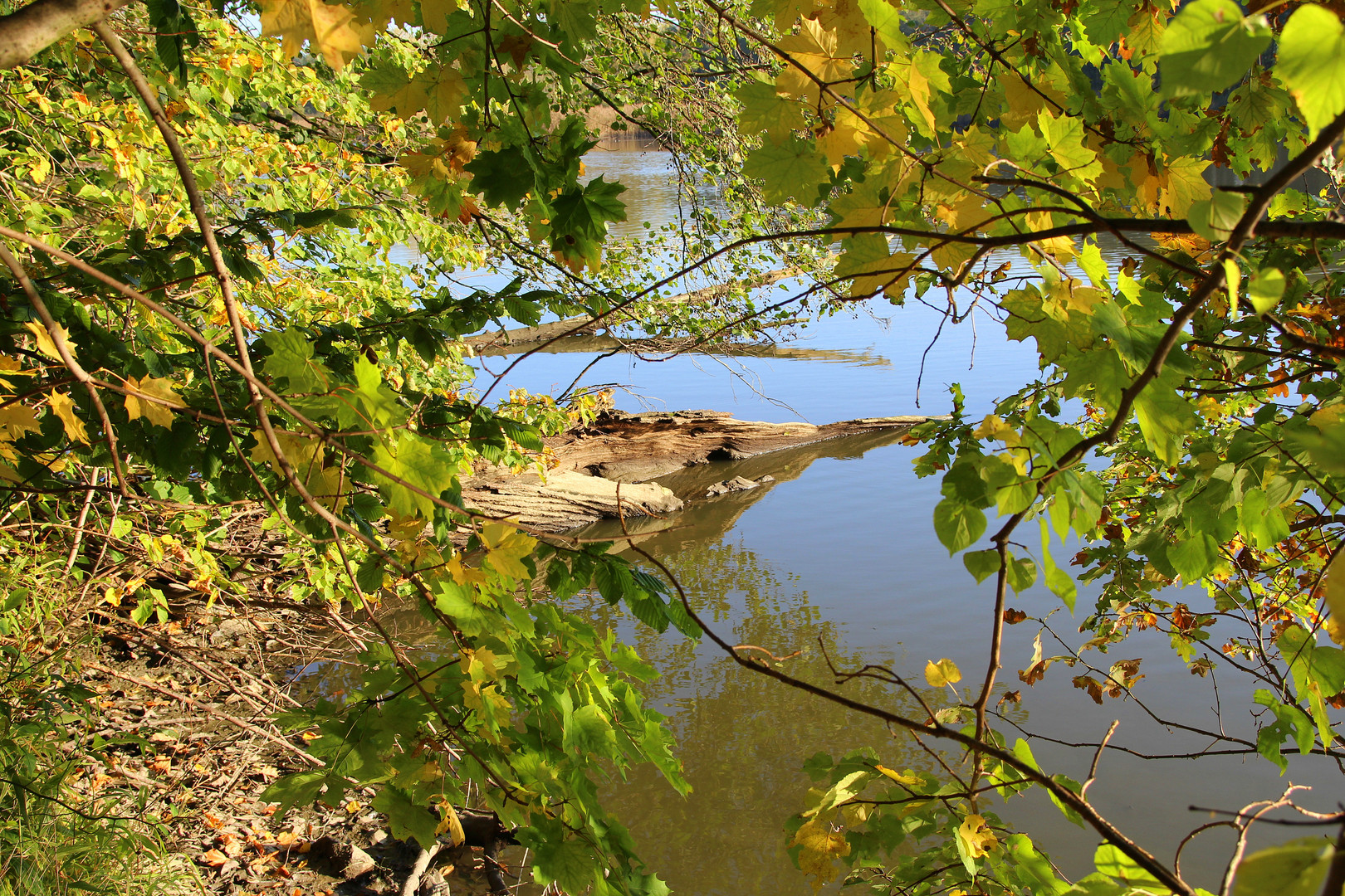 Herbst am Teich Foto & Bild deutschland, europe, sachsen Bilder auf