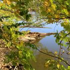 Herbst am Teich