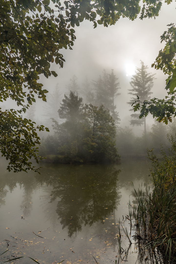 Herbst am Teich