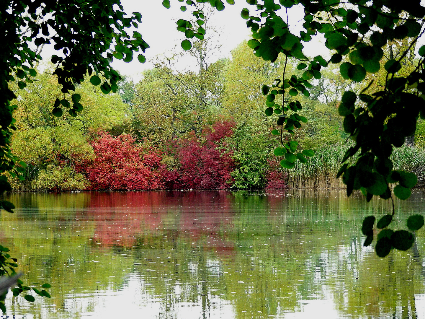 Herbst am Teich