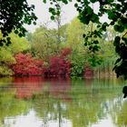 Herbst am Teich